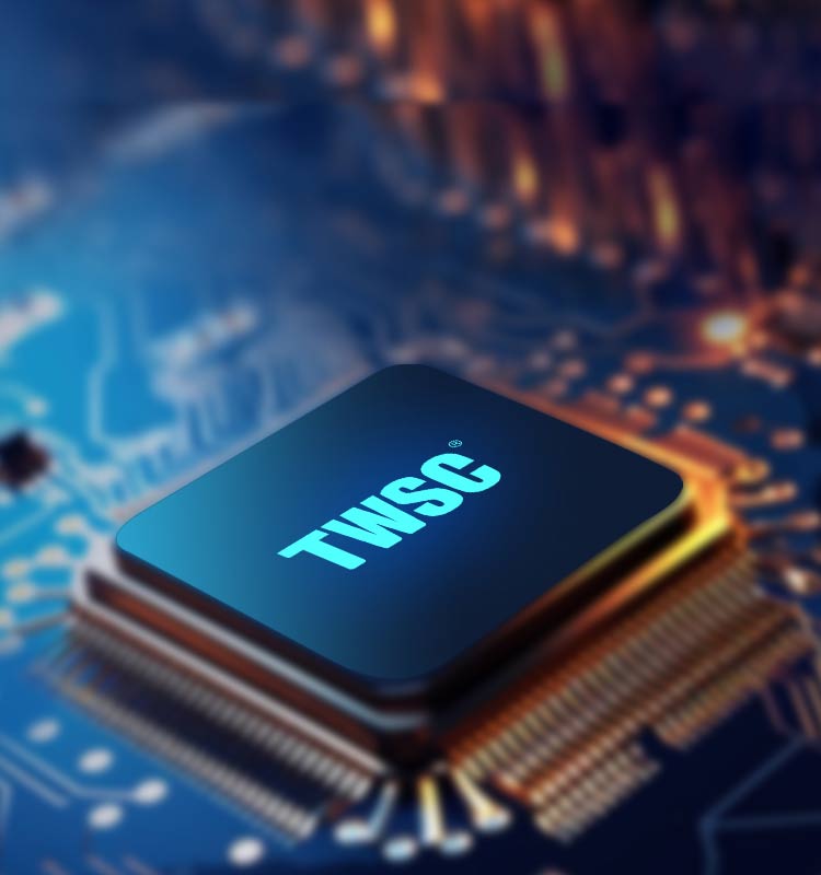 ga黄金甲平台TWSC6501自研芯片